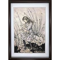 51Dq+6tveHL._AC_UL210_SR210,